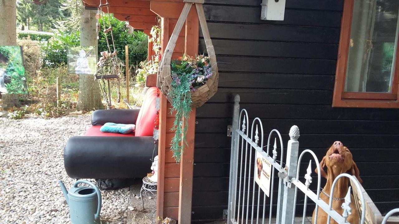פוטן Chalet Op Een Rustig Park In De Natuur מראה חיצוני תמונה