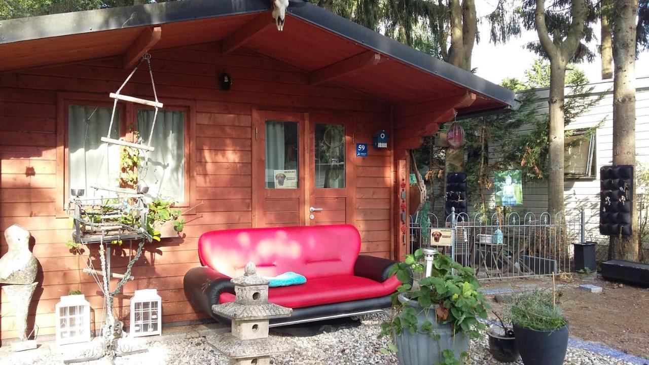 פוטן Chalet Op Een Rustig Park In De Natuur מראה חיצוני תמונה